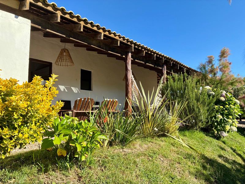 Exterior del Estudio Superior con jardín y galería