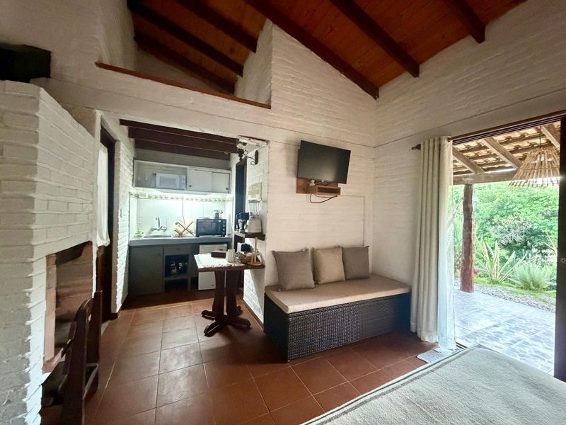 Interior del Estudio Superior con kitchenette, sofá y estufa a leña